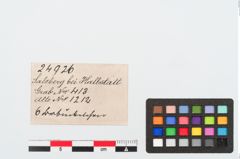 Etiketten zu Bronzeknopf (NHMW-PRAE-024926)